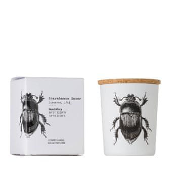 Scarabeus Sacer - - mirisna svijeća 75g - serija Insect Collection