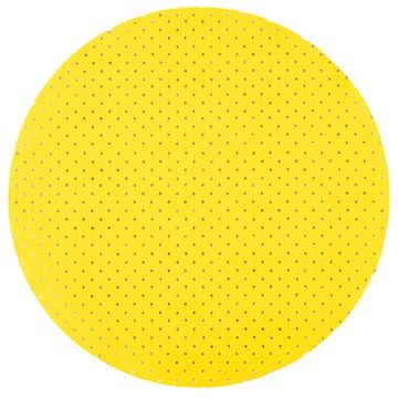 Perforirani brusni diskovi 225 mm, P180, za brusilice 59G264, 59G265, 5 kom.