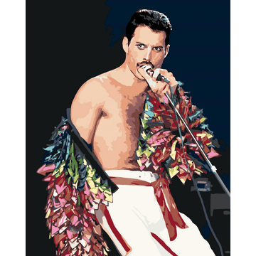 Slikaj po brojevima s okvirom, slike za bojanje – Freddie Mercury 40x50 cm