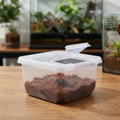 Posuda za uzgoj tarantula s ventilacijom 12x12x7 cm - kutija za mlade pauke