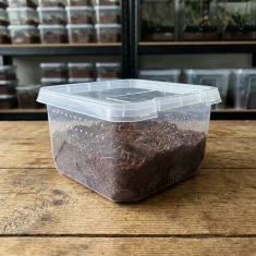 Posuda za uzgoj tarantula s ventilacijom 12x12x7 cm - kutija za mlade pauke