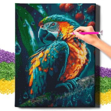 DIJAMANTNA SLIKA 5D s OKVIROM Dijamantni vez Veliki mozaik papige 40x50 cm