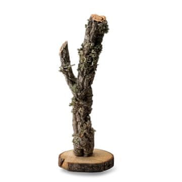 BIO BioBranch Tree 30 cm hrast plutnjak