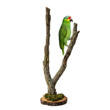 BIO BioCork Tree Drvo na podlozi od grana plutovog hrasta za papige 50 cm