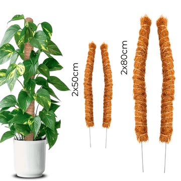 BIO SET 4x Coke potpora za biljke 2x50 cm + 2x80 cm