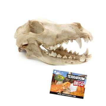 Ukras za terarij Skull s vučjom lubanjem 27x13x13,5 cm
