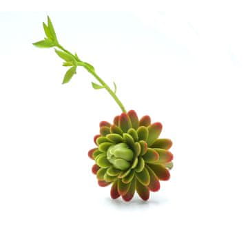 BIO BioPlant Blooming Sukulentna umjetna sukulentna biljka za polusuhi, stepski terarij