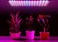 Lampa za uzgoj biljaka Heckermann 225LED multi color full spectrum