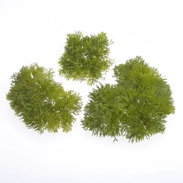 BIO Umjetna mahovina za terarije - BioMoss 3 čuperka