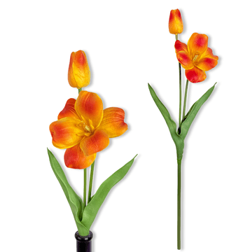 IN Grančica - Narančasti pjenasti tulipan 53 cm