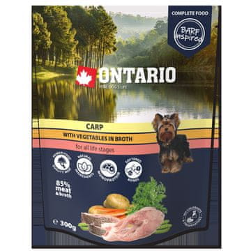 Ontario Ontarijski šaran s povrćem u juhi 300 g