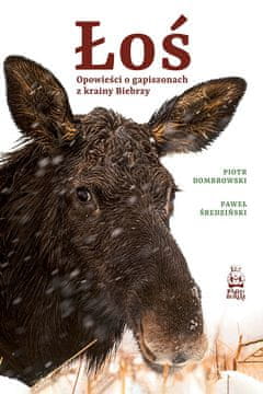 Priče o Gapiszonu iz regije Biebrza