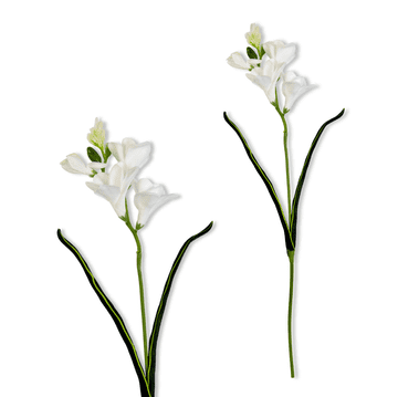 IN Grančica - Bijela pjenasta frezija 59 cm