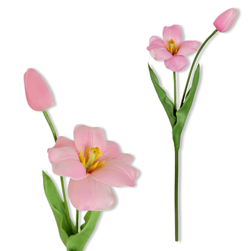 IN Grančica - Ružičasti pjenasti tulipan 53 cm