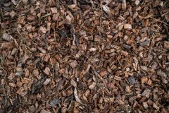 CocoBase FINE 3l