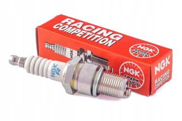 NGK Svjećica BR10EG 3830
