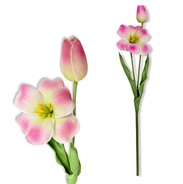 IN Grančica - Ružičasti pjenasti tulipan, sjenčan, 53 cm