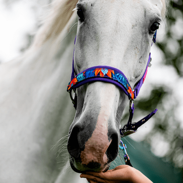 halter - Power Flower FULL