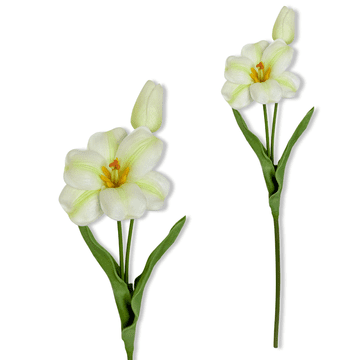 IN Grančica - Pjenasti tulipan bijelo-zeleni 53 cm