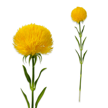 IN Grana krizanteme, pravi dodir, 51 cm, žuta