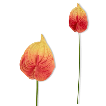 IN Grana - Žuto-crveni pjenasti anthurium 57 cm