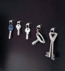 Rayher.	 Magneti s drškom, 16 mm, set 5