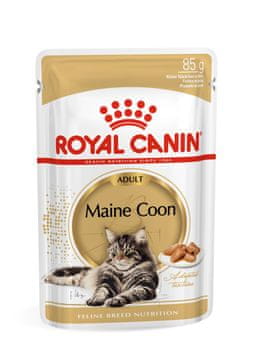 ROYAL ROYAL CANIN FBN Maine Coon - Mokra hrana za mačke - vrećica 12x 85g