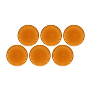 slomart ROSE&TULIPANI Arpeggio set 6 tanjura za večeru, 25 cm