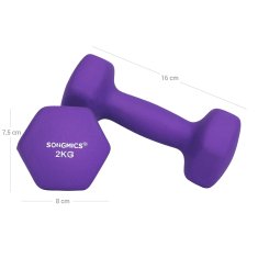 Songmics Set bučica 2 x 2 kg 16x7.5 cm ljubičasta