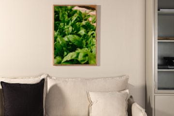 Venture Design AB Poster 70x100 cm Zeleni, papir