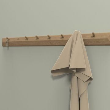 Homestar Zidni stalak AALBORG 100x2,3x8,3 cm hrast