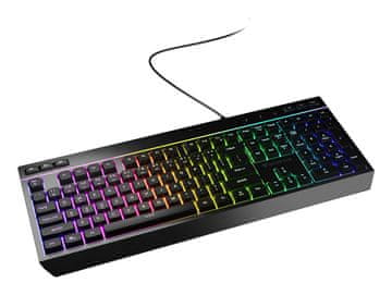 Genesis GENESIS Rhod 530 tipkovnica USB QWERTZ njemačka crna RGB LED