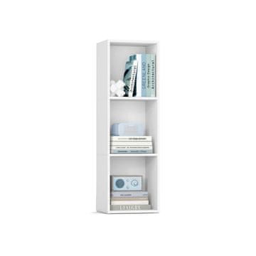 Songmics Knjigovodstveni regal 3 razine 24x30x94.8 cm Bijeli