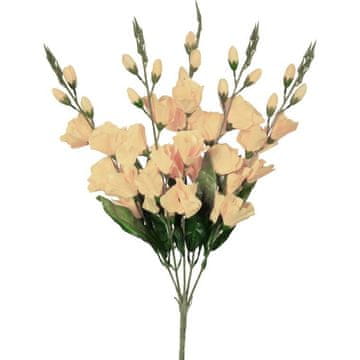 Buket od 5 kremovih gladiola