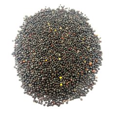 Uljana, sjeme uljane repice 1 kg, prirodna trgovina