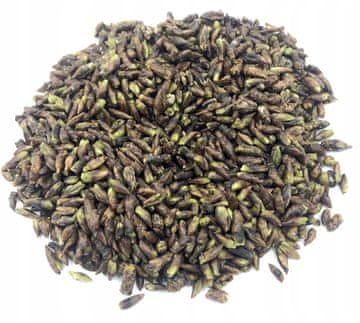 Breza pupoljci breze gemoterapija 200 g prirodni