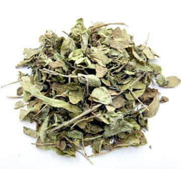 BOROVNICA LIST BOROVNICE 200 G PRIRODNI