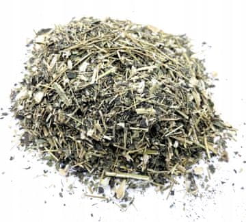 Topinambur biljka 200 g prirodna
