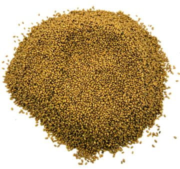 Sjemenski lan, lanik, 500 g, prirodan