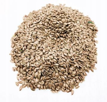 Laneno sjeme 5 kg 100% prirodno