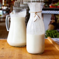 Browin Kulture bakterija za jogurt na 25 l mlijeka