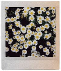 FujiFilm Instax Square Sunset ulošci 10 komada