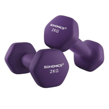 Songmics Set bučica, 2 x 2 kg, 16x8x7.5 cm, ljubičasta