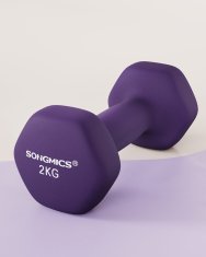 Songmics Set bučica, 2 x 2 kg, 16x8x7.5 cm, ljubičasta