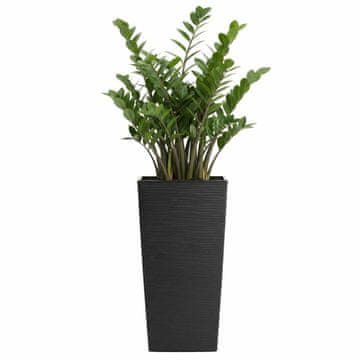Donica Porto Riflo crna h46x25x25 cm