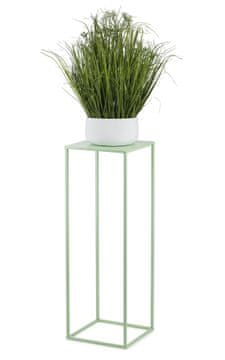 Seledynowi kvijetnjak stojeći 70 cm