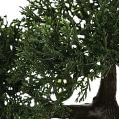 Atmosphera Bonsai stablo u crnoj posudi 36 cm
