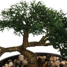 Atmosphera Bonsai drvce u crnoj posudi 23 cm