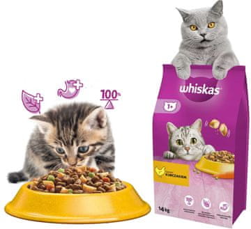 Whiskas Whiskas suha hrana za mačke, piletina, 14kg