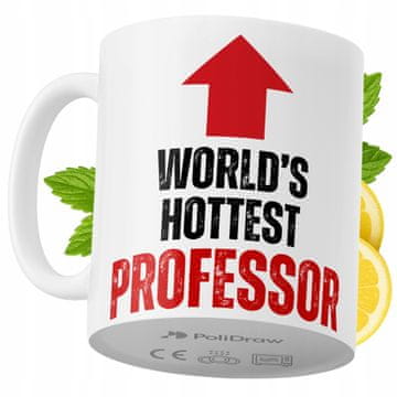 Šalica za profesora s duhovitim natpisom, keramička šalica za čaj i kavu, bijela, 330 ml